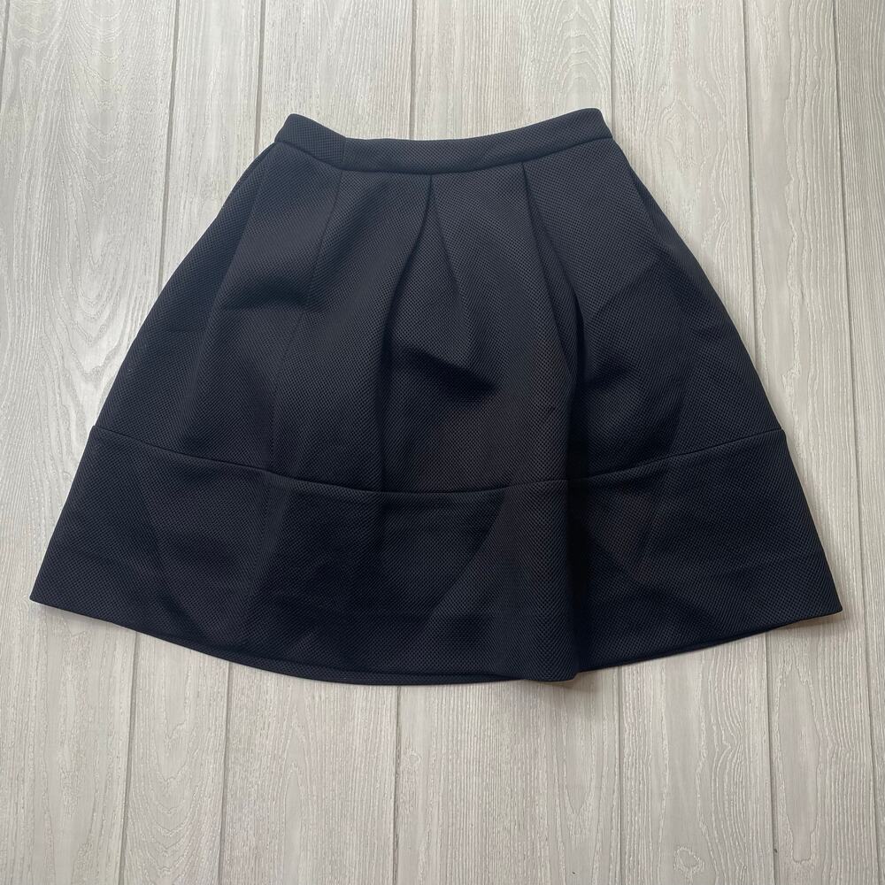 Mossaic Black Mesh Pleated Knee Length A-Line Skirt Size 10
